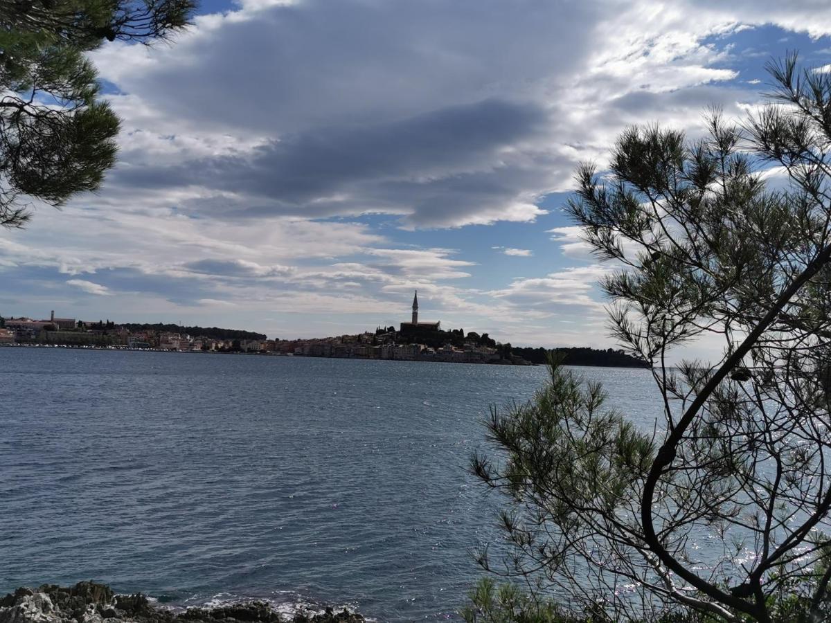 Apartments Sandra Rovinj Exterior foto